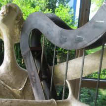 Канат импортный